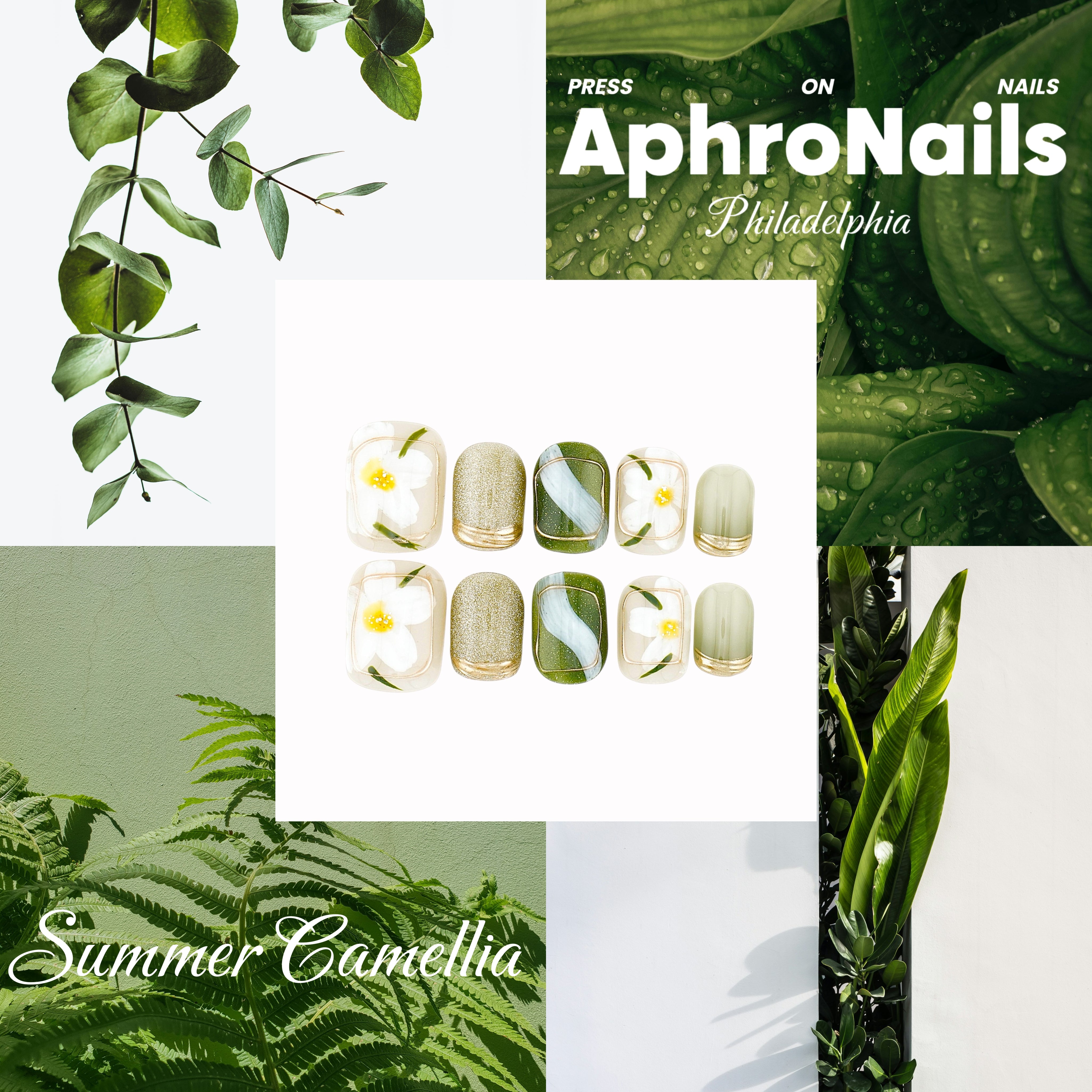 Summer Camellia